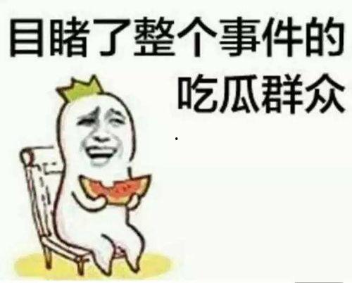 娱乐吃瓜小象小说免费阅读