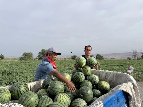 娱乐718吃瓜王大炮,吃瓜王大炮背后的故事