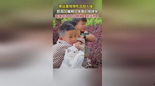 娱乐吃瓜四人组